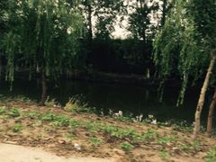 -潘太师炸鸡腿(中茵海华广场店)