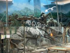 -武汉动物园