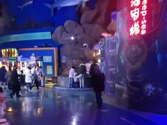 -烟台海昌鲸鲨海洋公园