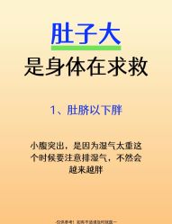 -Fundi张玉珊修身堂·indiba·BTL科技瘦身