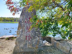 -长春市南湖公园