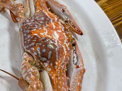 -板桥海鲜广场(文明东店)