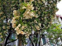 -广东金融学院(校本部)