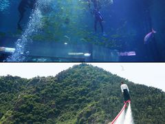 -大连老虎滩海洋公园