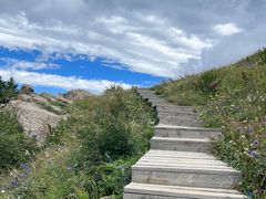 -白草畔自然风景区