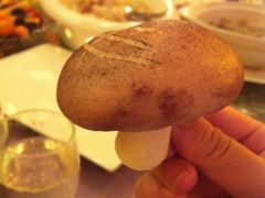 -东莞塘厦三正半山温泉酒店·沙利文西餐厅