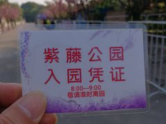 -嘉定紫藤园