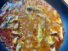 黄辣丁鲜鱼锅-小小河边鱼(天润城店)