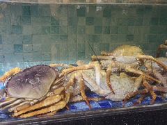 -宝宇大连海鲜渔港(金奎大厦店)