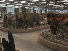 -南宫五洲植物乐园