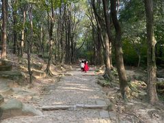 -白马涧龙池景区