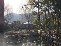 -灵山莲花公园-温泉度假区