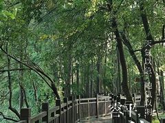 -东湖落雁景区