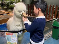 -上海大自然野生昆虫馆(东方明珠·爬宠昆虫探索中心)
