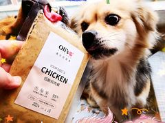 -宿州花鸟鱼虫古玩宠物大市场