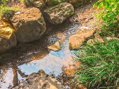 -中国茶叶博物馆(双峰馆区)