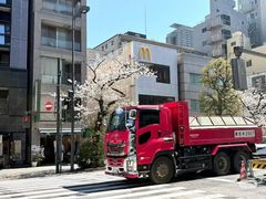 -帝京日语(春熙路旗舰校区)
