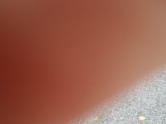 -恩宁刘福记(东华东路店)