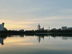 -莲花池公园
