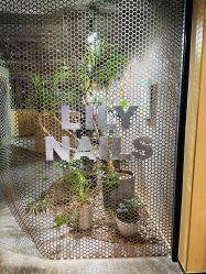 -LILY NAILS美甲美睫