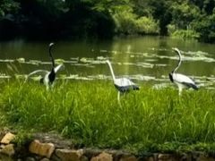 -人民公园(罗湖区)