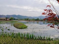-长兴太湖图影湿地文化园
