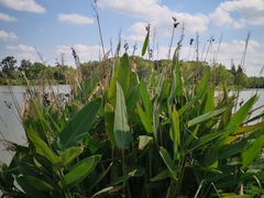 -昆山城市生态森林公园