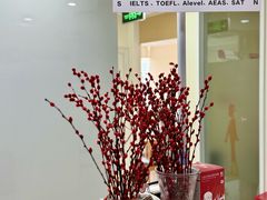 -环球·雅思托福·THiNKSAT留学语言培训学校(国贸校区)