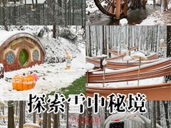 -波尔登森林公园