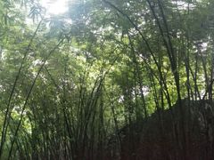 -寻龙山风景旅游区