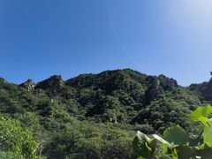 -大岭沟猕猴桃谷风景区