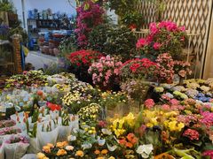 -双季花艺园艺市场(浦东店)