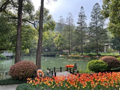 -杭州花家山庄