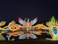 -武汉园博园(武汉自然博物馆)