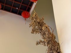 -炎钬堂亚健康管理(白银路店)