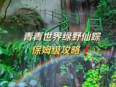 -青青世界