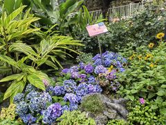 -人民公园(罗湖区)