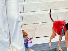 -华谊兄弟（长沙）电影小镇