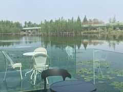 -白鹭湾湿地公园