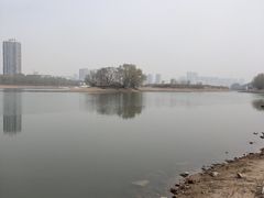 -长白岛森林公园