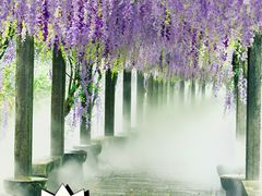 -太姥山风景名胜区