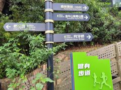 -福道