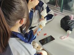 -萨朗刀克冰淇淋雪花凉(植物园店)