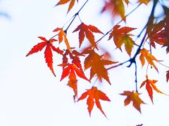 -崂山巨峰游览区