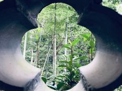 -灵隐飞来峰景区