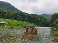 -广州市石门国家森林公园