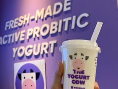 -一只酸奶牛(兰州中心店)