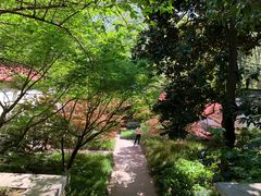 -采石矶景区