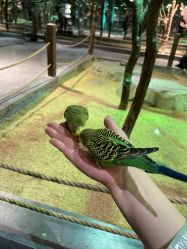 -酷嗒动物文化乐园(cutezoo西溪乐天城店)