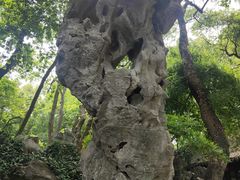 -绮园景区